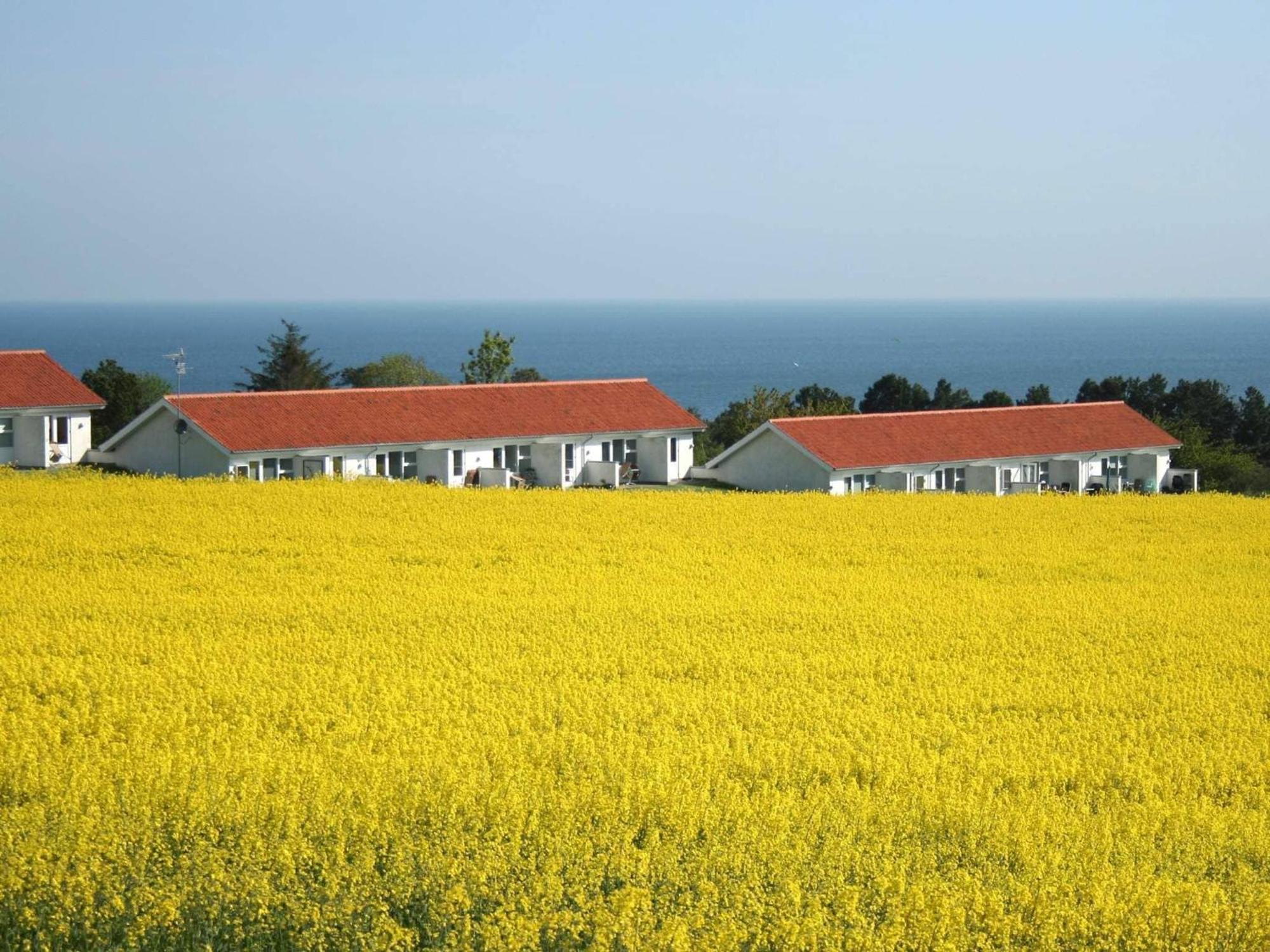 2 Person Holiday Home In Allinge Eksteriør billede